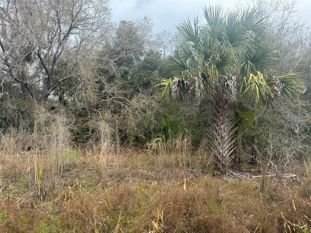 Unit for sale at 17667 NW 254TH STREET, OKEECHOBEE, FL 34972