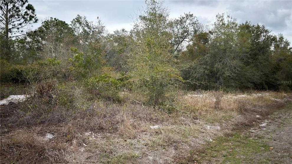 Unit for sale at 336 PERSHING AVENUE, LAKE PLACID, FL 33852