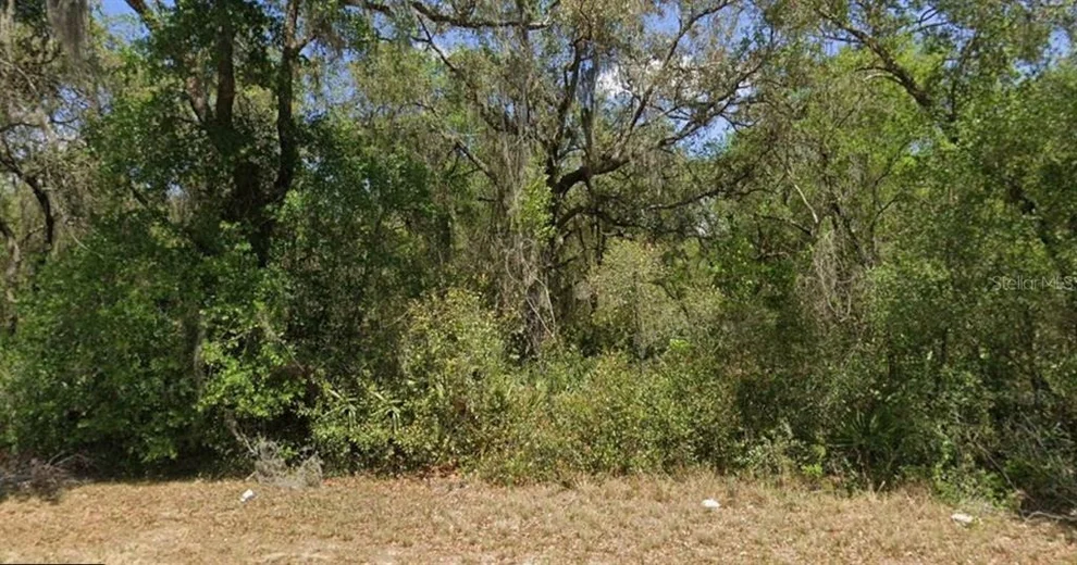 Unit for sale at 21175 SE 142ND LANE, UMATILLA, FL 32784