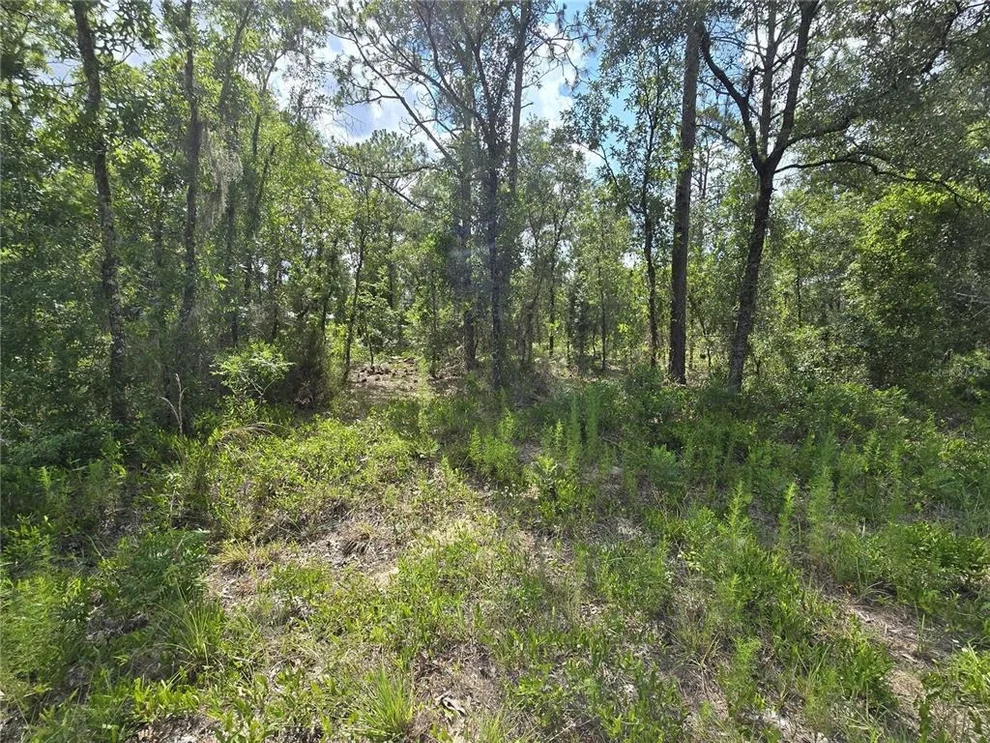 Unit for sale at 00 NE 121ST AVENUE, WILLISTON, FL 32696