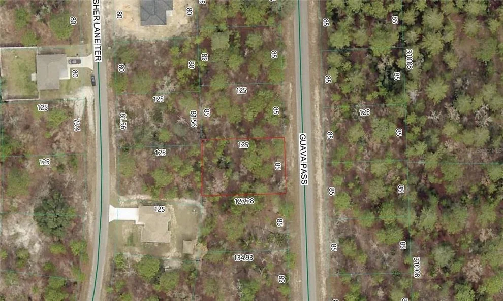 Unit for sale at GUAVA PASS LOT 10, OCKLAWAHA, FL 32179
