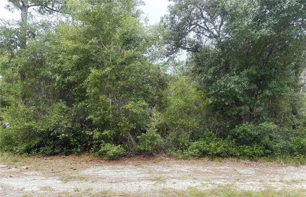 Unit for sale at 359 COOLIDGE AVENUE NE, LAKE PLACID, FL 33852