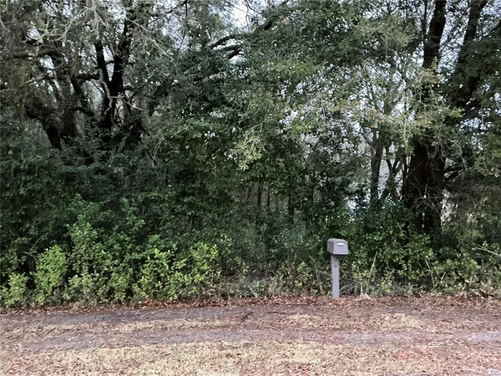 Unit for sale at 0 SE 143RD PLACE, SUMMERFIELD, FL 34491