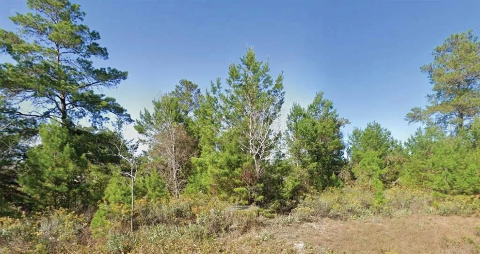 Unit for sale at DUMAJACK ROAD, CHIPLEY, FL 32428