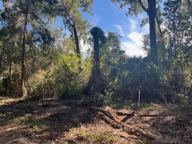 Unit for sale at TBD NW 160TH STREET, REDDICK, FL 32686