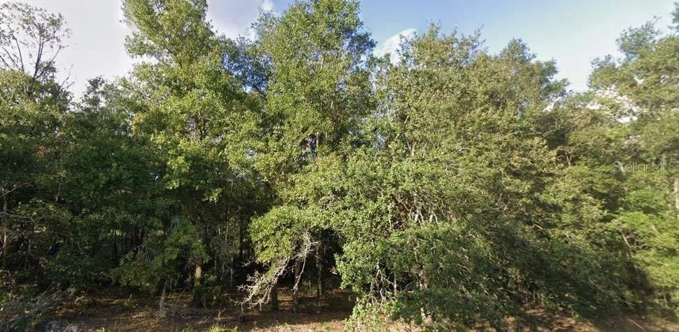 Unit for sale at 262 CYPRESS STREET, INTERLACHEN, FL 32148