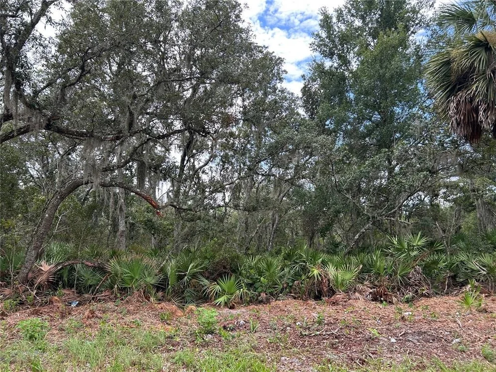 Unit for sale at PETERSON ROAD, PIERSON, FL 32180