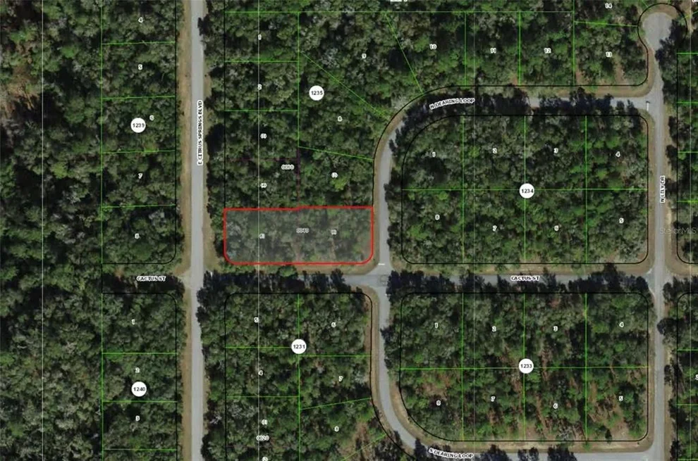 Unit for sale at 2054 E CITRUS SPRINGS BOULEVARD, CITRUS SPRINGS, FL 34434