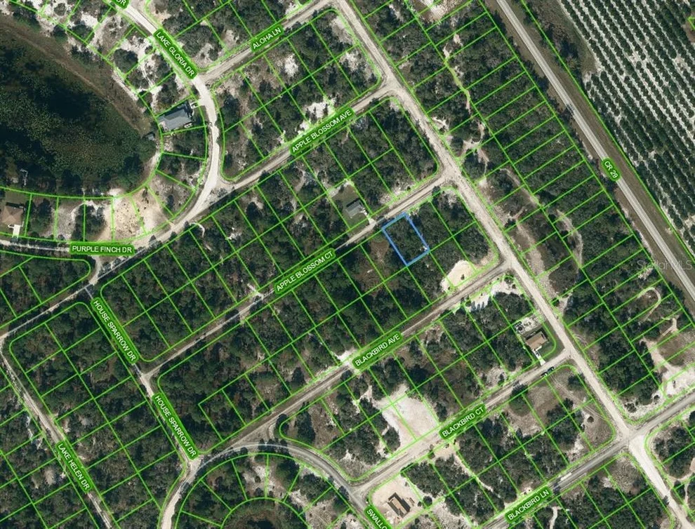 Unit for sale at 455 APPLE BLOSSOM COURT, LAKE PLACID, FL 33852