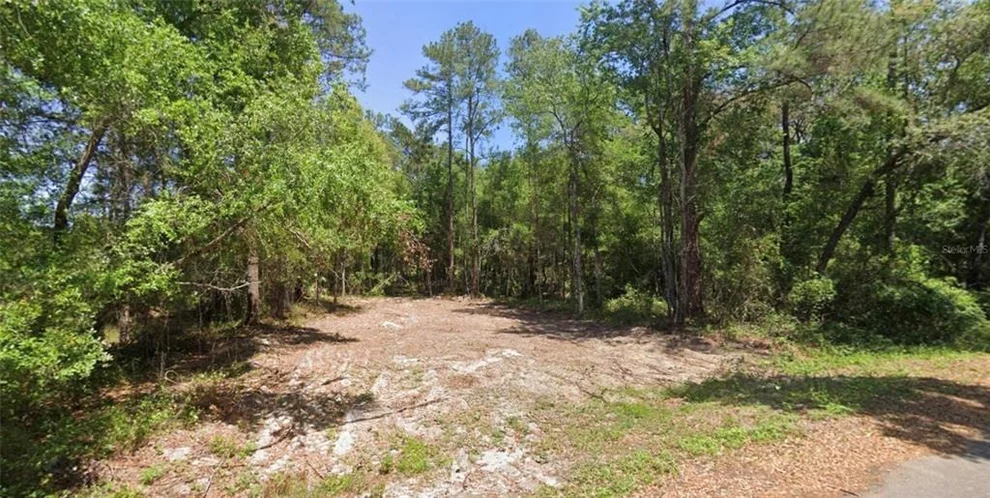 Unit for sale at 19 GUAVA PASS LANE, OCKLAWAHA, FL 32179