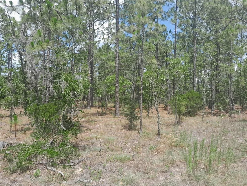 Unit for sale at TBD NE 149TH COURT, WILLISTON, FL 32696