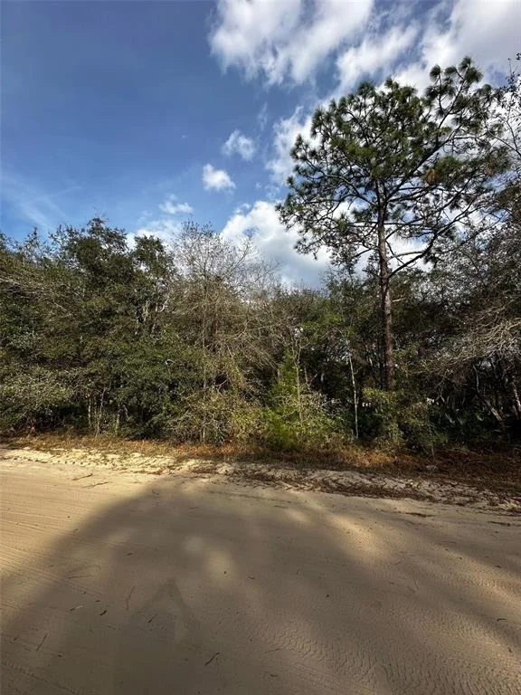 Unit for sale at 13 13-10-24-4079-0060-0040, INTERLACHEN, FL 32148