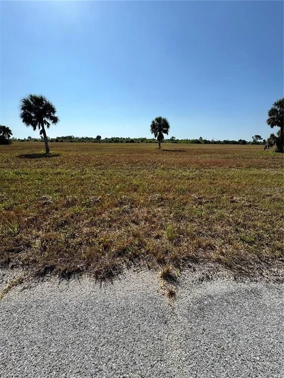 Unit for sale at 12496 TOADFISH COURT, PLACIDA, FL 33946