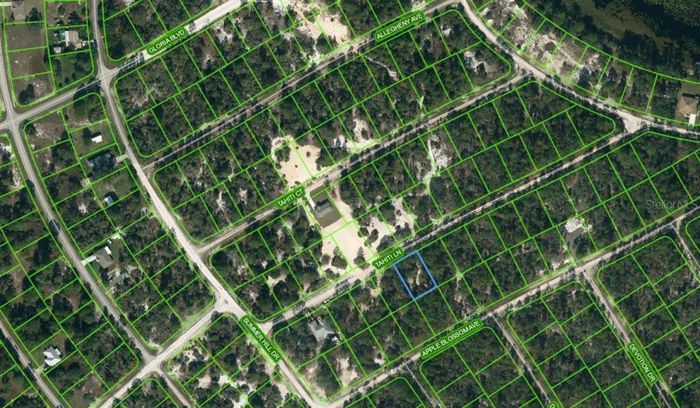 Unit for sale at 411 TAHITI LANE, LAKE PLACID, FL 33852