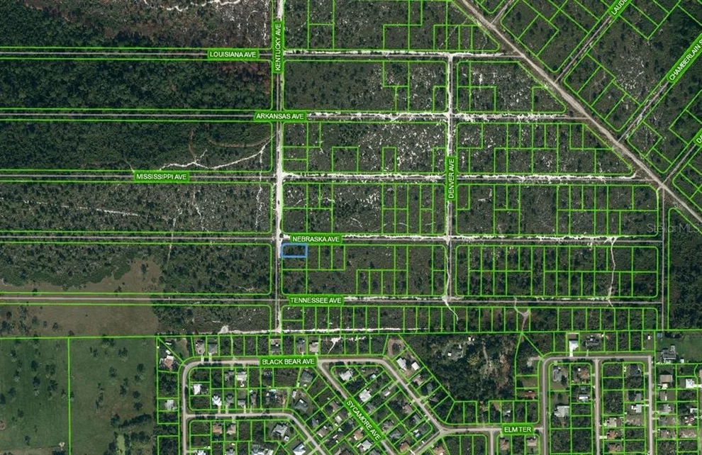 Unit for sale at 511 KENTUCKY AVENUE, LAKE PLACID, FL 33852