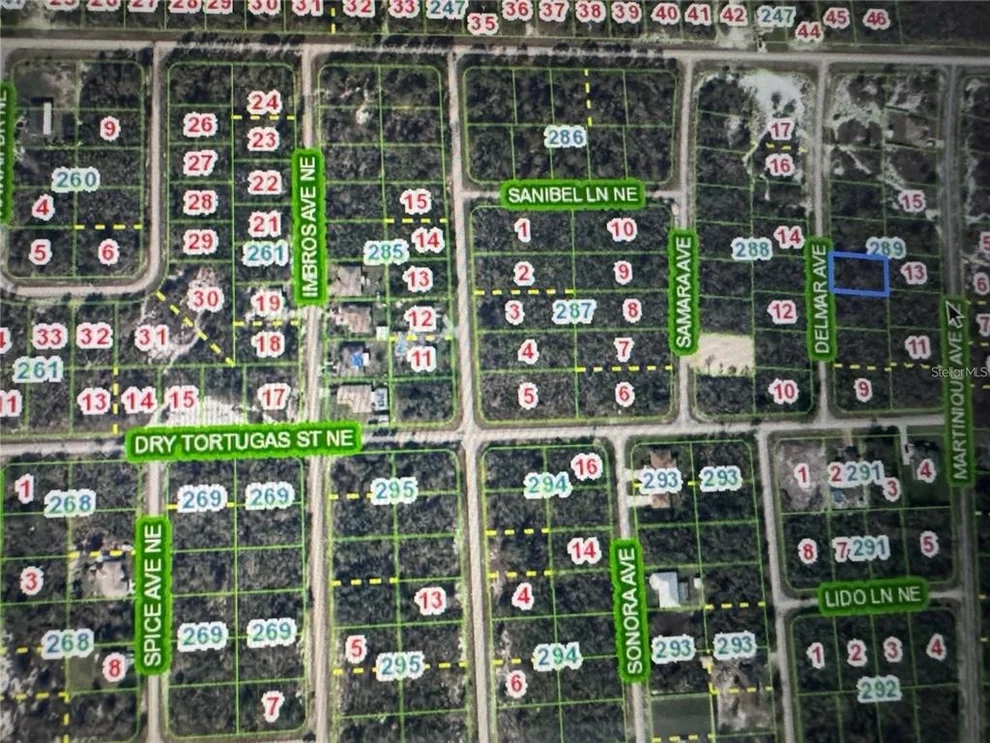 Unit for sale at 110 DELMAR AVENUE NE, LAKE PLACID, FL 33852