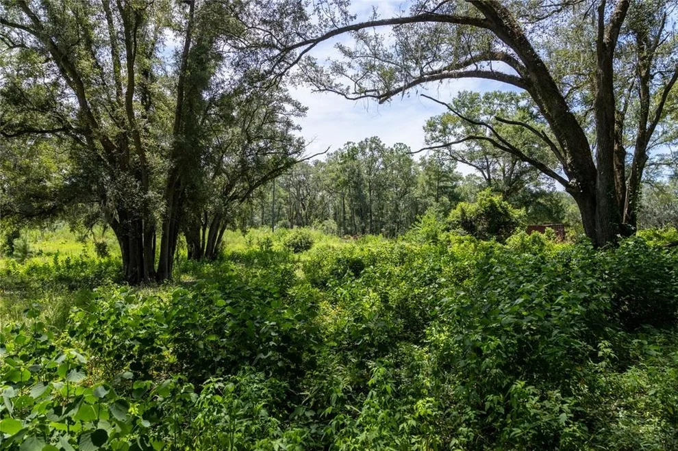 Unit for sale at 239 SW CANDI COURT, FORT WHITE, FL 32038