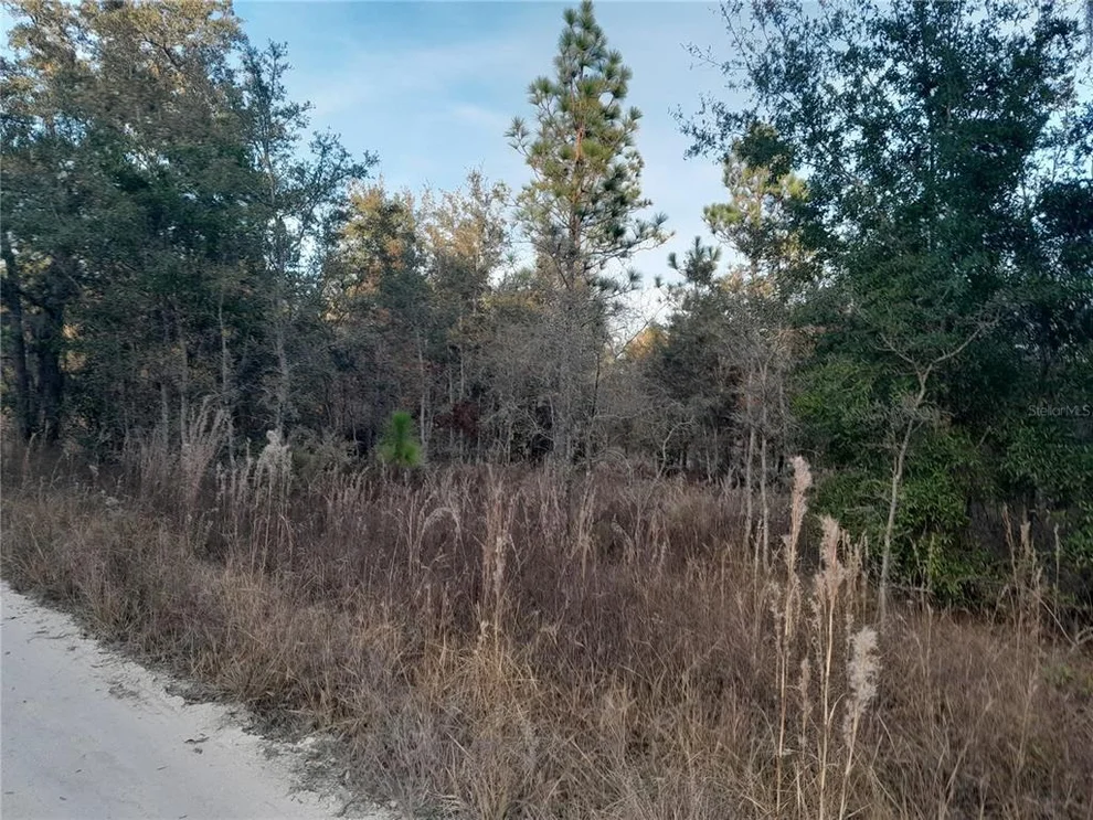 Unit for sale at 1531 NE 123RD AVENUE, WILLISTON, FL 32696