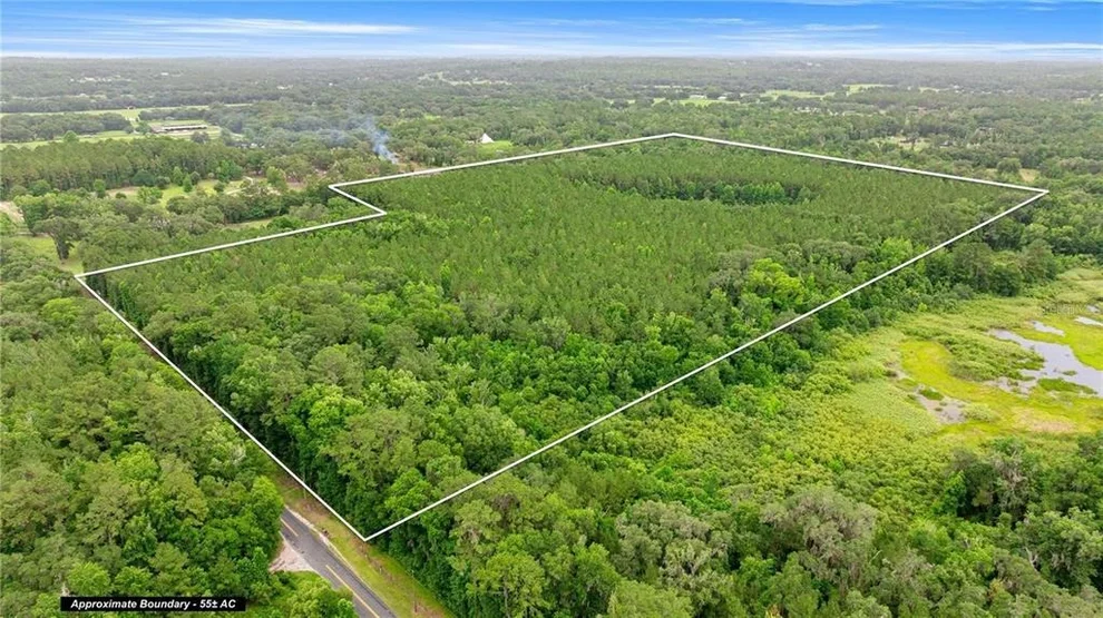 Unit for sale at TBD NW 160TH ST, REDDICK, FL 32686