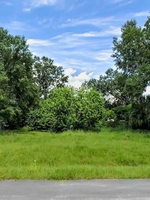 Unit for sale at 2063 NEPTUNE ROAD, KISSIMMEE, FL 34744