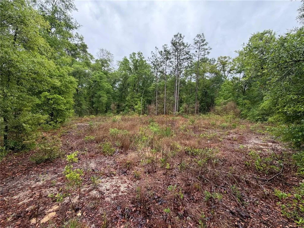 Unit for sale at 301 RAINBOW DRIVE, HAWTHORNE, FL 32640