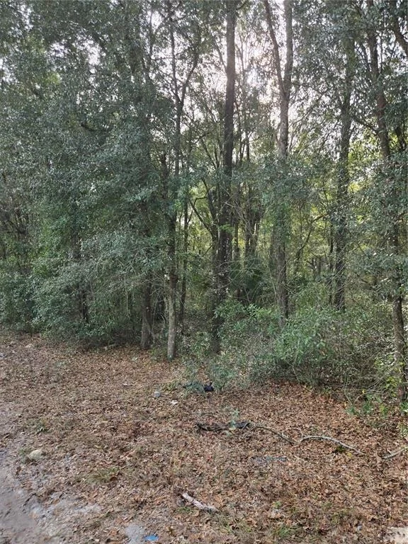 Unit for sale at NE 163RD PLACE, CITRA, FL 32113