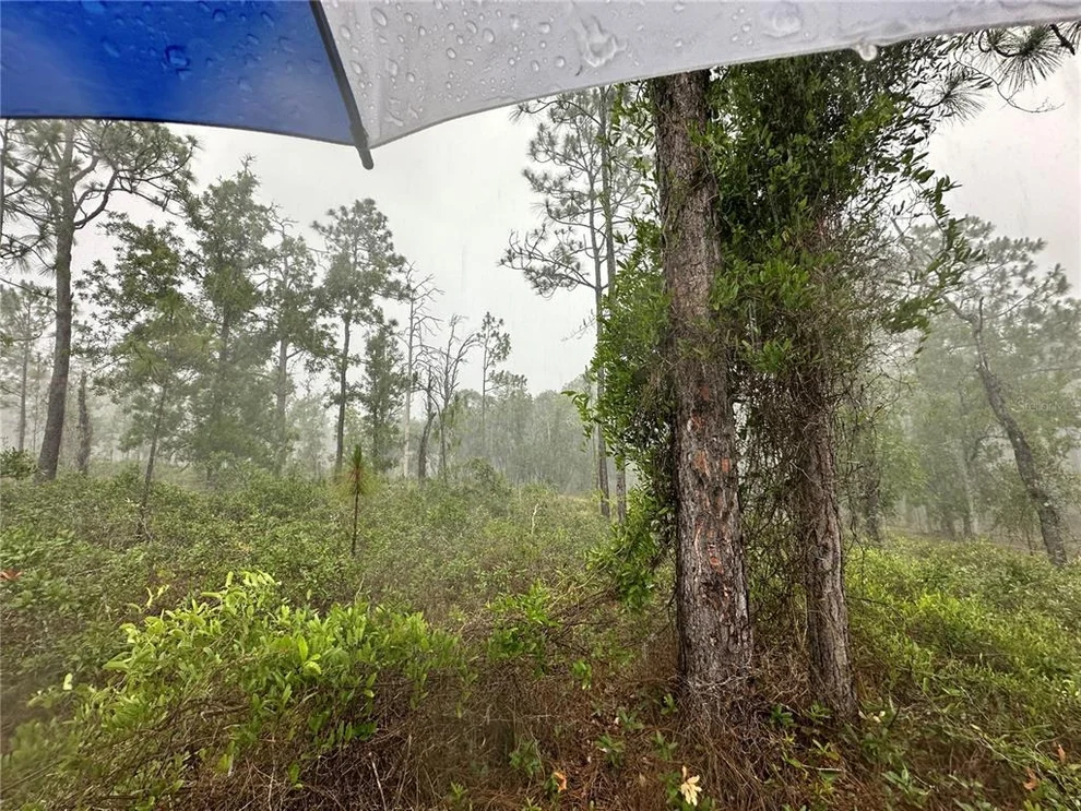Unit for sale at TBD SE 130TH COURT, DUNNELLON, FL 34431