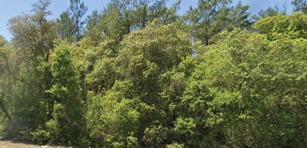 Unit for sale at 0 SE 309 AVENUE, ALTOONA, FL 32702