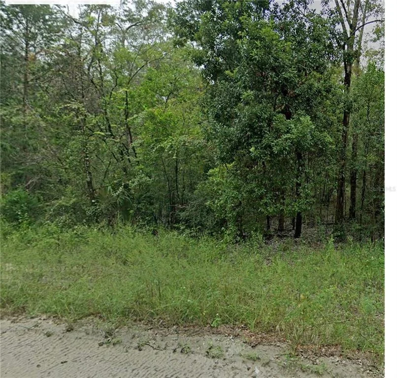 Unit for sale at 0 NE 160TH AVENUE, WILLISTON, FL 32696