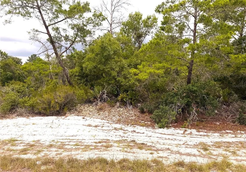 Unit for sale at 209 COOLIDGE AVENUE NE, LAKE PLACID, FL 33852