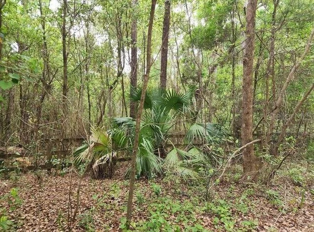 Unit for sale at 15363 SE 156TH PLACE ROAD, WEIRSDALE, FL 32195