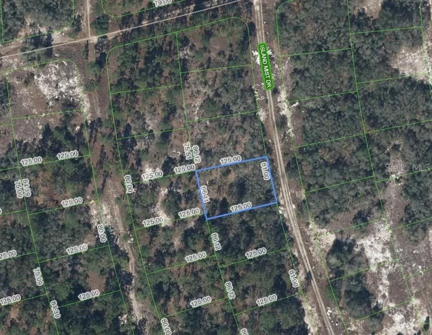 Unit for sale at 218 ISLAND MIST DRIVE, LAKE PLACID, FL 33852