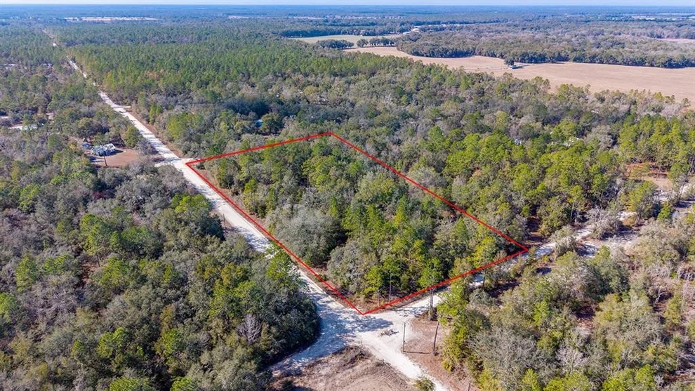 Unit for sale at 0000 NW 10TH AVENUE, BELL, FL 32619