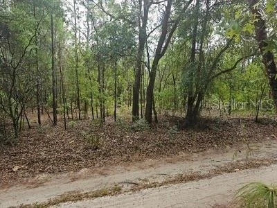Unit for sale at 00 SW 90 STREET, DUNNELLON, FL 34432