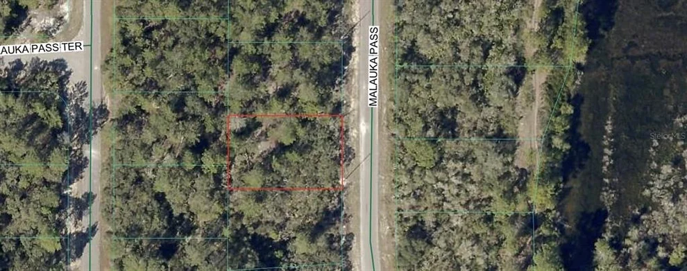 Unit for sale at TBD MALAUKA PASS, OCKLAWAHA, FL 32179