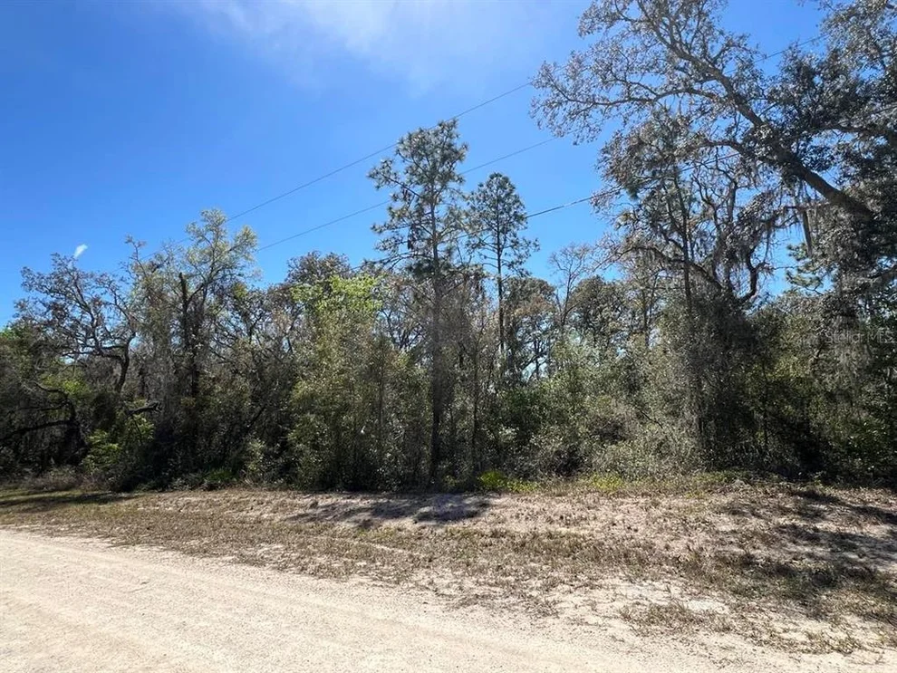 Unit for sale at 0 NORTHWEST AVENUE, WEBSTER, FL 33597
