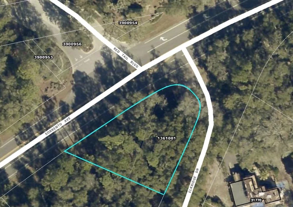 Unit for sale at 25950 SORRENTO AVENUE, MOUNT PLYMOUTH, FL 32776