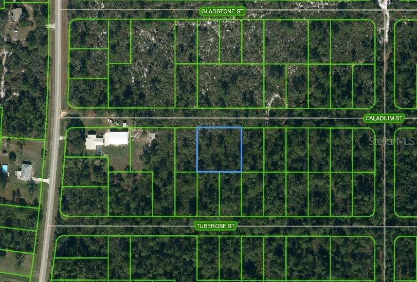 Unit for sale at 1411 CALADIUM STREET, LAKE PLACID, FL 33852