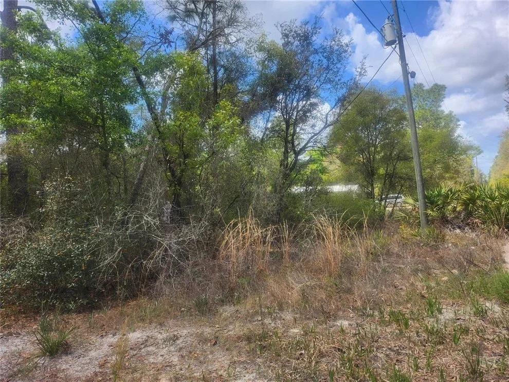 Unit for sale at TBD NE 236 LANE, ORANGE SPRINGS, FL 32182
