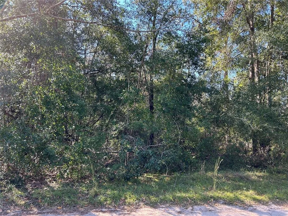 Unit for sale at TBD NE 138TH TERR, WILLISTON, FL 32696