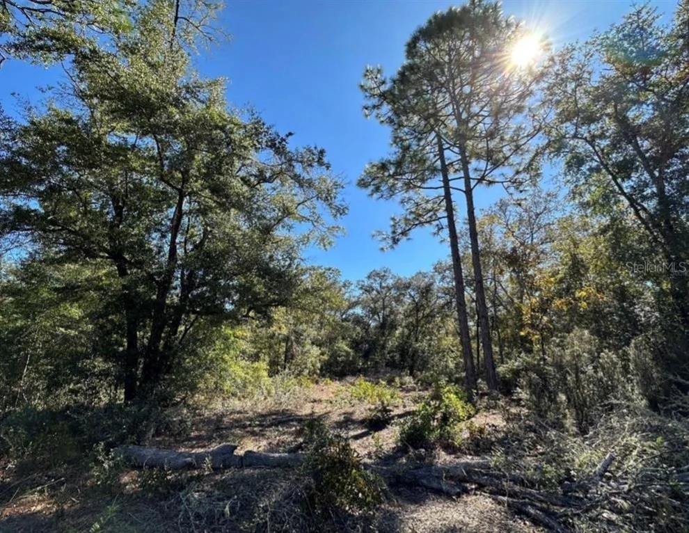 Unit for sale at TBD NE 86TH STREET, BRONSON, FL 32621