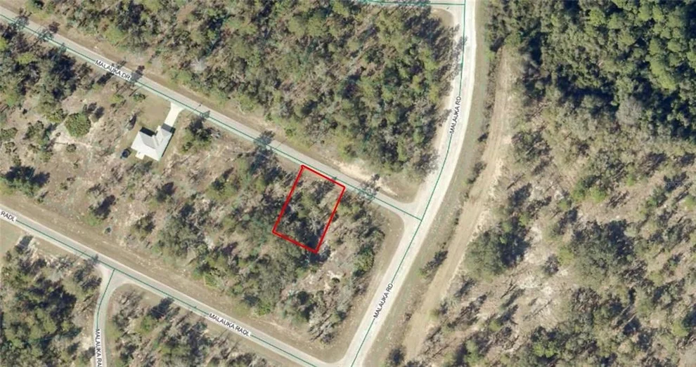 Unit for sale at TBD MALAUKA DRIVE, OCKLAWAHA, FL 32179
