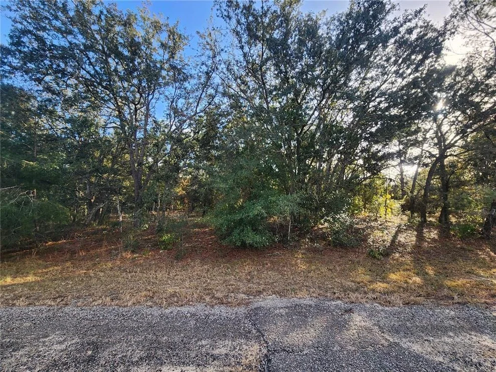 Unit for sale at 2176 W CONWAY DRIVE, CITRUS SPRINGS, FL 34434
