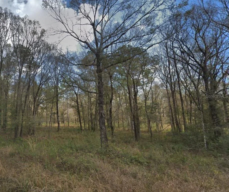 Unit for sale at 10300 STYCKET AVENUE, HASTINGS, FL 32145