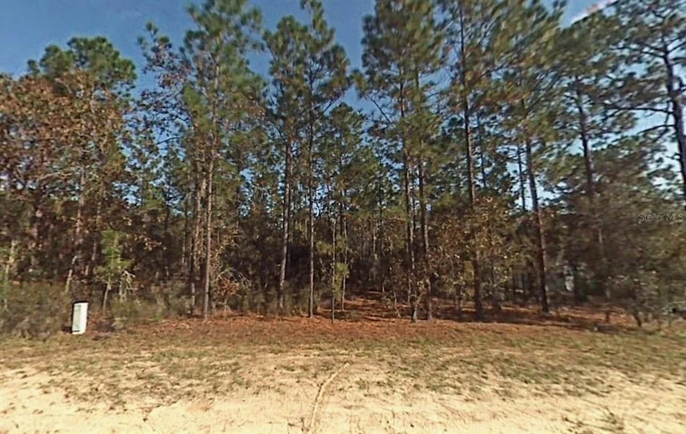 Unit for sale at Lot 5 SW 166TH COURT ROAD, DUNNELLON, FL 34432