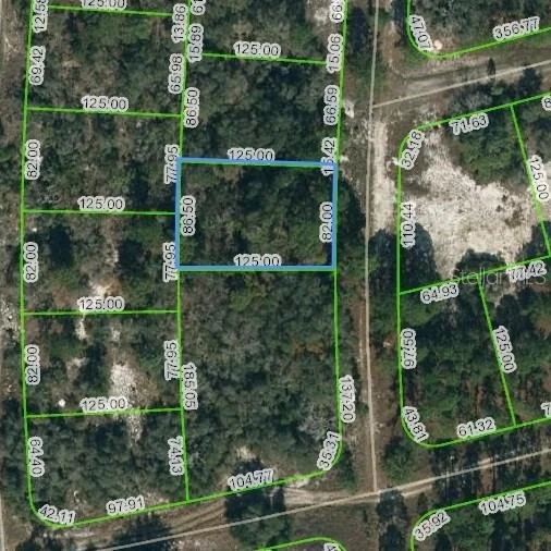 Unit for sale at 244 BLUE HORIZON DRIVE, LAKE PLACID, FL 33852