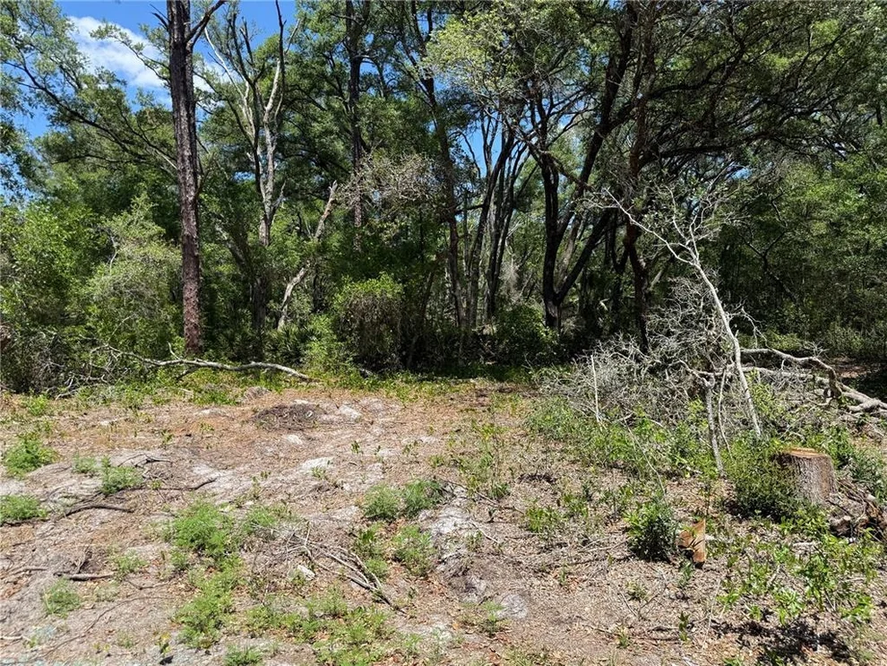 Unit for sale at FISCHER LANE COURT, OCKLAWAHA, FL 32179