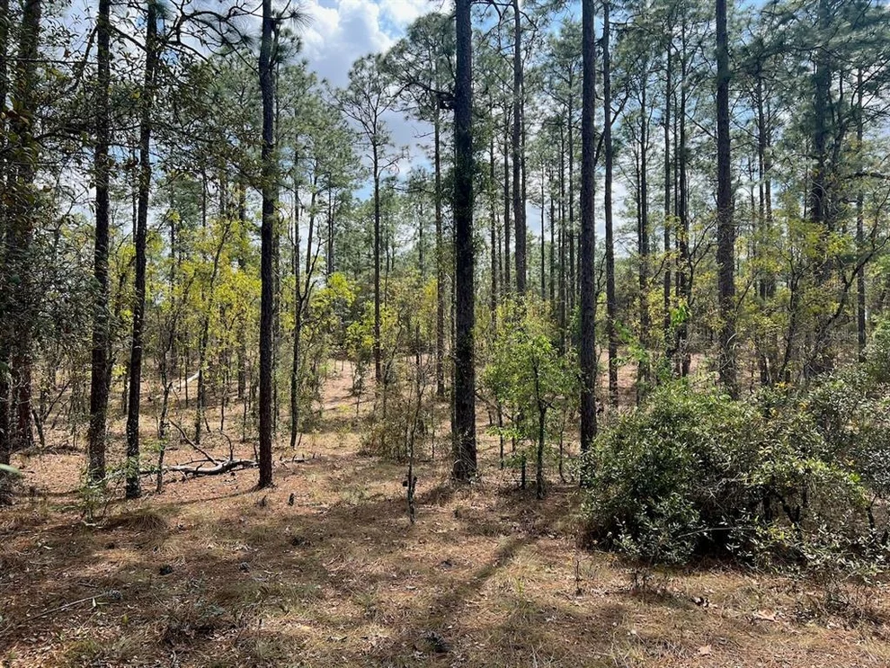 Unit for sale at 10TH STREET SE, WILLISTON, FL 32696