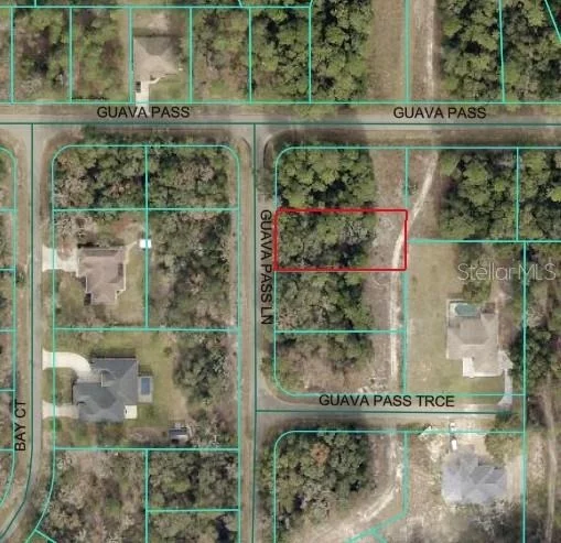 Unit for sale at GUAVA PASS LANE, OCKLAWAHA, FL 32179