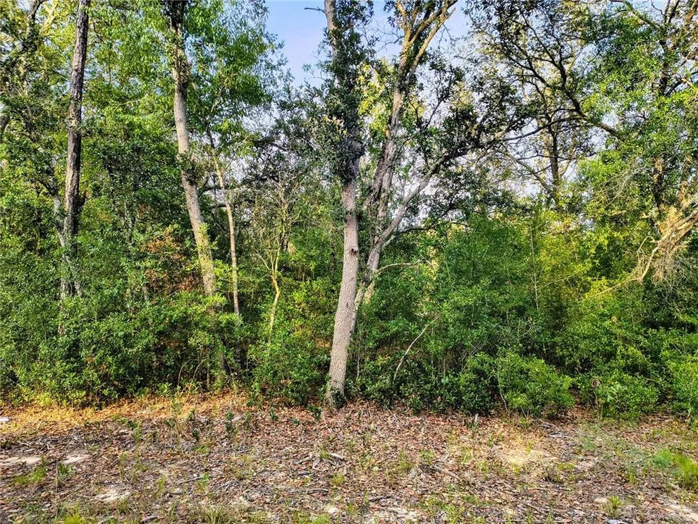 Unit for sale at 8821 NE 97TH COURT, BRONSON, FL 32621